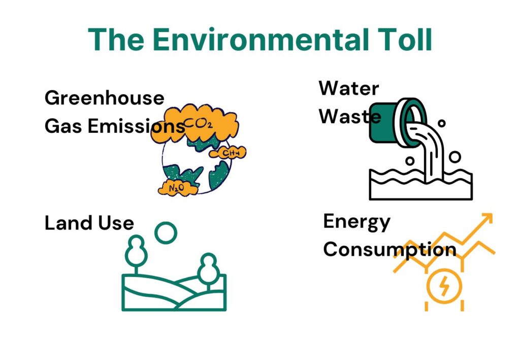 The Environment toll of food waste